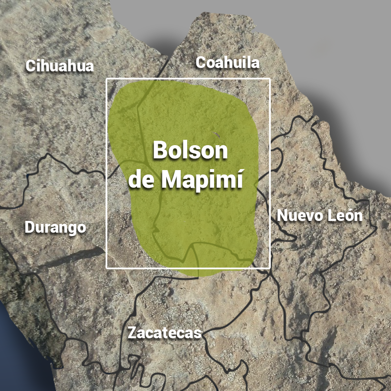 Mapa del paisaje desértico en el Bolsón de Mapimí, ubicación exacta de la enigmática Zona del Silencio en el norte de México.