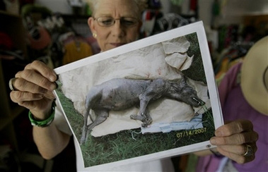 La investigadora Phylis Canion sosteniendo la cabeza taxidermizada del supuesto Chupacabras de Cuero, Texas. El animal muestra piel azulada sin pelo y colmillos prominentes.