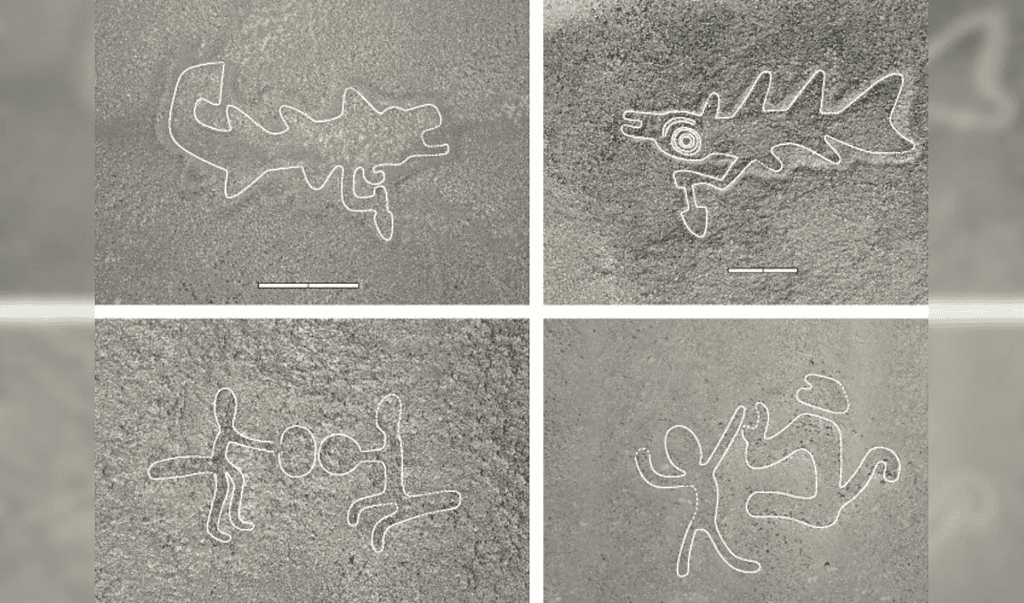 Reconstrucción digital del nuevo geoglifo de Nazca descubierto por IA: una orca sosteniendo un cuchillo y una cabeza humana decapitada.