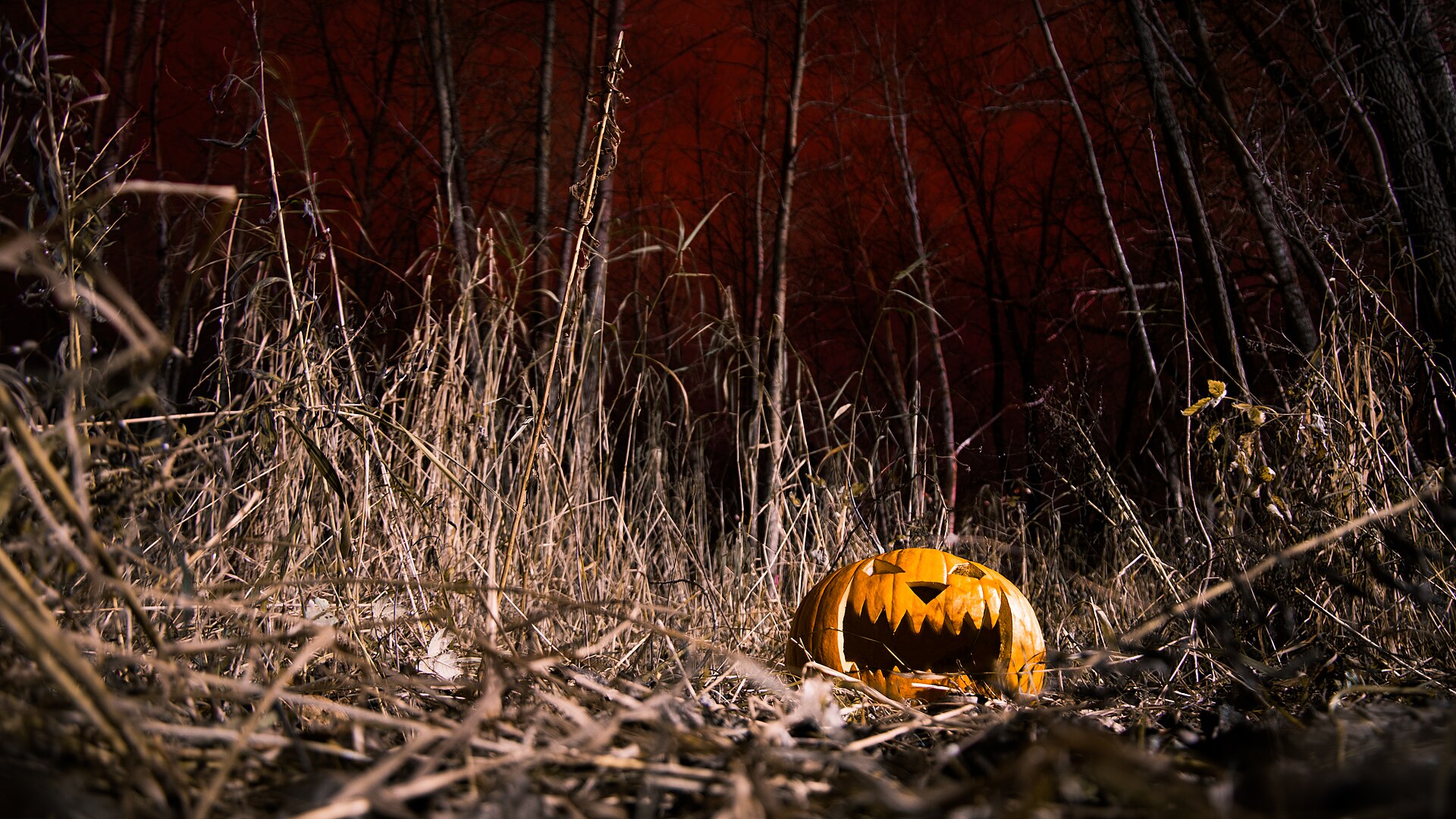 Calabaza tallada y encendida de noche en Halloween, símbolo de las series de terror de octubre