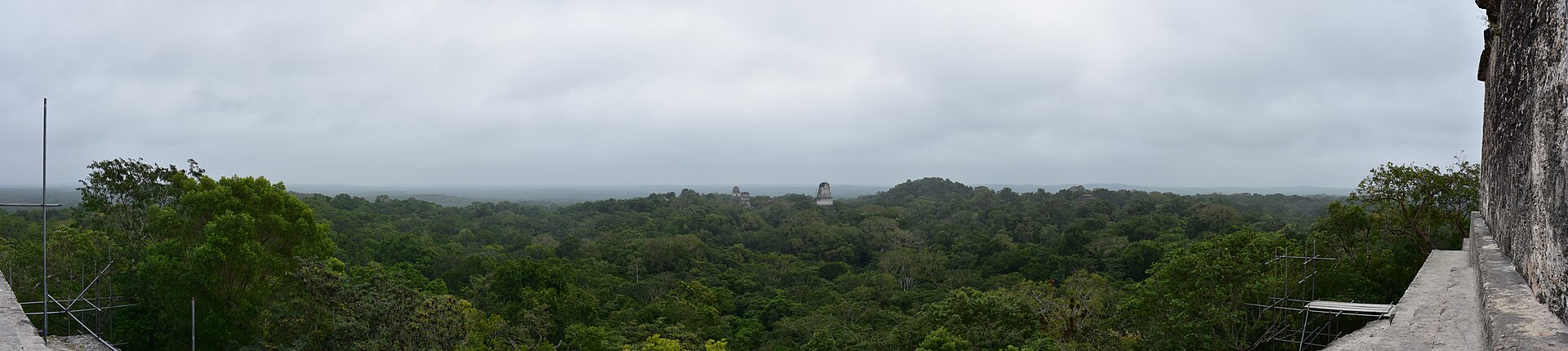 Panorámica de la selva de Tikal, Guatemala, vista desde el Templo IV con templos mayas sobresaliendo de la vegetación